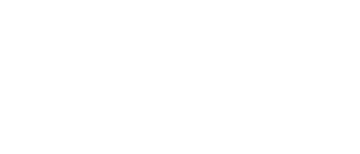 partner-frankfurt-school
